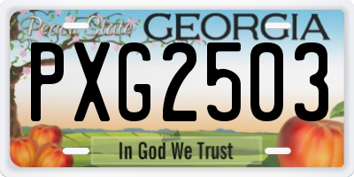 GA license plate PXG2503