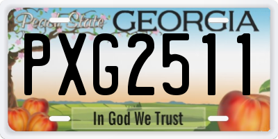 GA license plate PXG2511