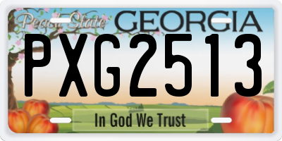 GA license plate PXG2513