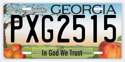 GA license plate PXG2515