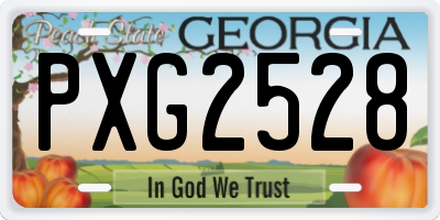 GA license plate PXG2528