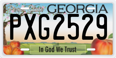 GA license plate PXG2529