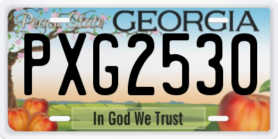 GA license plate PXG2530