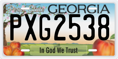 GA license plate PXG2538