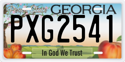 GA license plate PXG2541