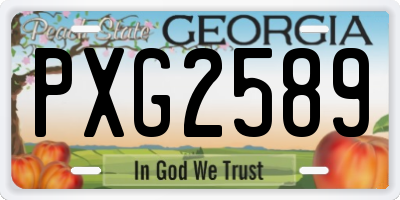GA license plate PXG2589