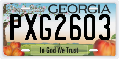 GA license plate PXG2603