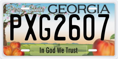 GA license plate PXG2607