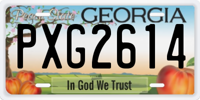 GA license plate PXG2614