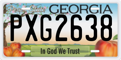 GA license plate PXG2638