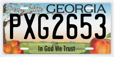GA license plate PXG2653