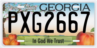 GA license plate PXG2667