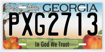 GA license plate PXG2713