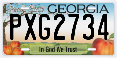 GA license plate PXG2734