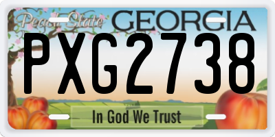 GA license plate PXG2738