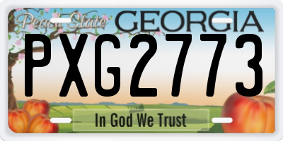 GA license plate PXG2773