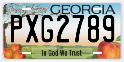 GA license plate PXG2789