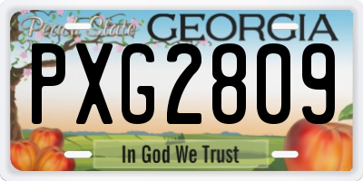 GA license plate PXG2809