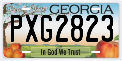 GA license plate PXG2823