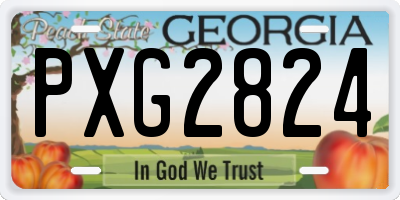 GA license plate PXG2824