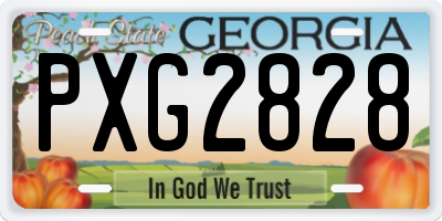 GA license plate PXG2828