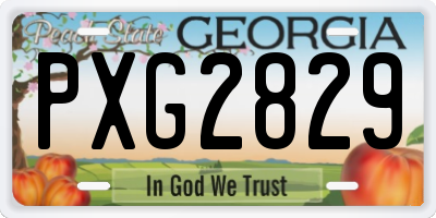 GA license plate PXG2829