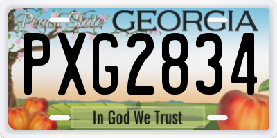 GA license plate PXG2834