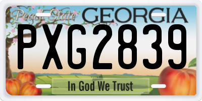 GA license plate PXG2839