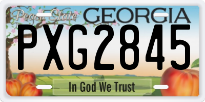 GA license plate PXG2845