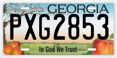 GA license plate PXG2853