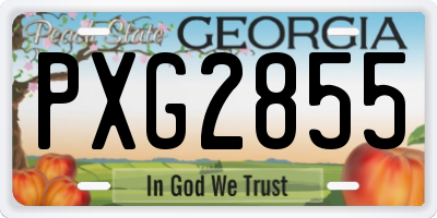 GA license plate PXG2855