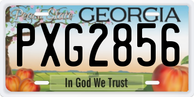 GA license plate PXG2856