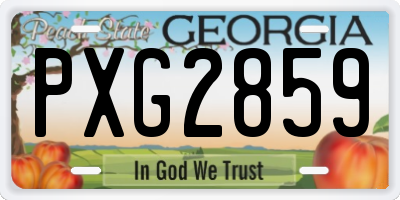GA license plate PXG2859