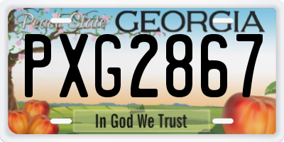 GA license plate PXG2867
