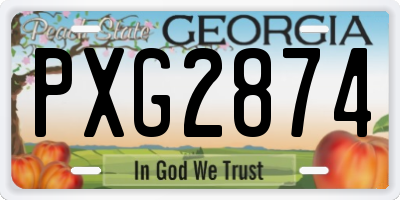 GA license plate PXG2874