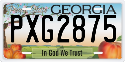 GA license plate PXG2875