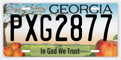 GA license plate PXG2877