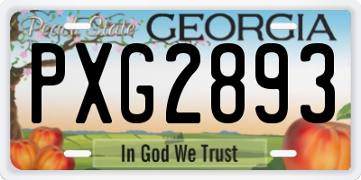 GA license plate PXG2893