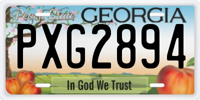 GA license plate PXG2894