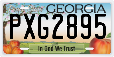 GA license plate PXG2895