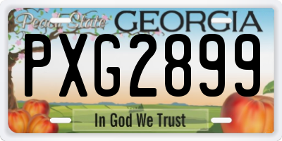 GA license plate PXG2899
