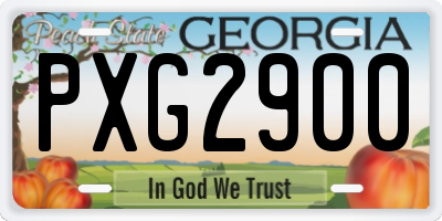 GA license plate PXG2900