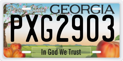 GA license plate PXG2903