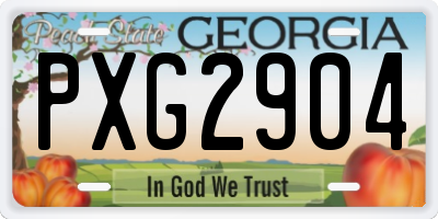 GA license plate PXG2904