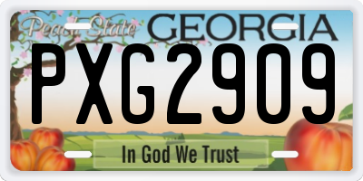 GA license plate PXG2909