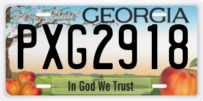 GA license plate PXG2918