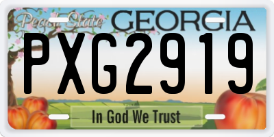 GA license plate PXG2919