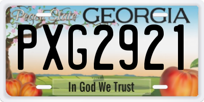 GA license plate PXG2921