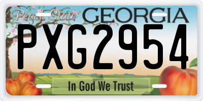GA license plate PXG2954