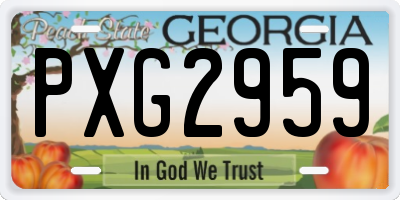 GA license plate PXG2959